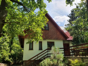 Zelený dom Modra